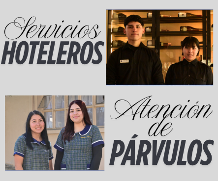 Área de Servicios